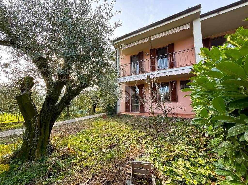 immagine annuncio 1 di 15