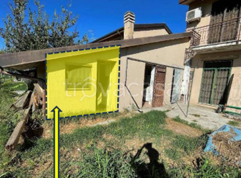 immagine annuncio 2 di 14