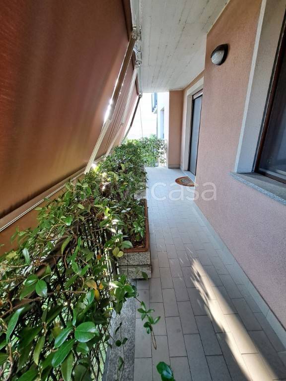 immagine annuncio 1 di 12