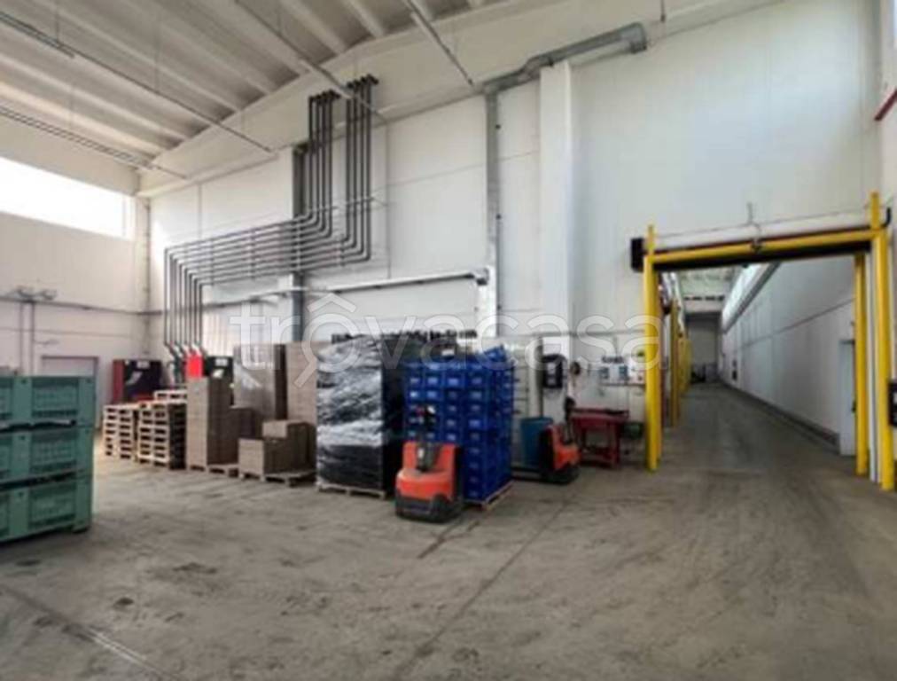 immagine annuncio 5 di 13