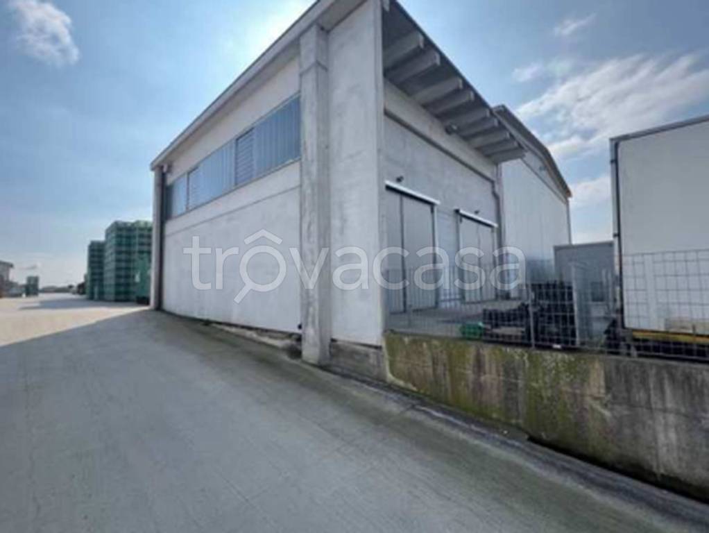 immagine annuncio 7 di 13