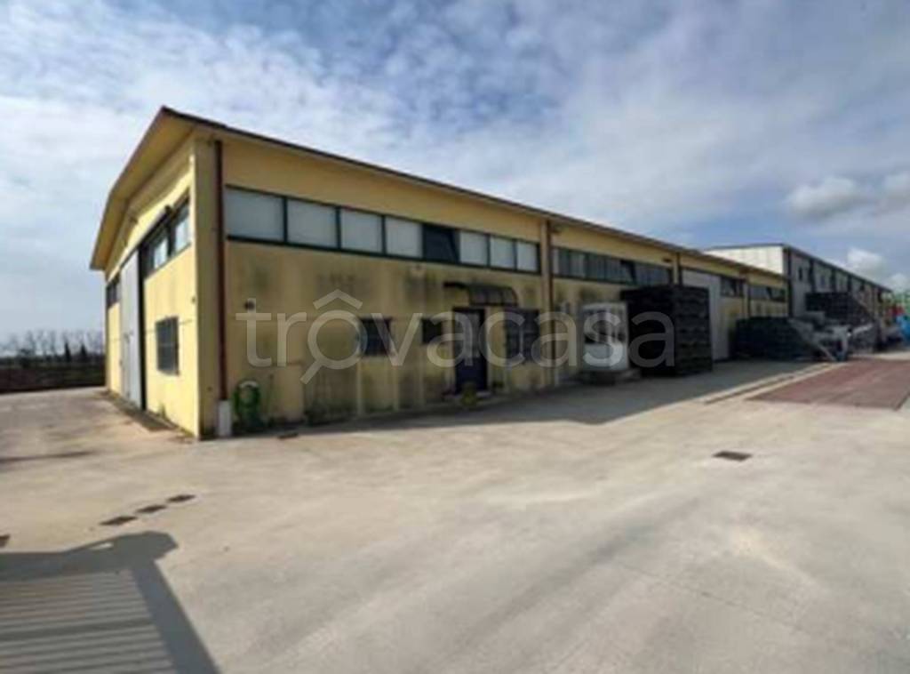 immagine annuncio 8 di 13