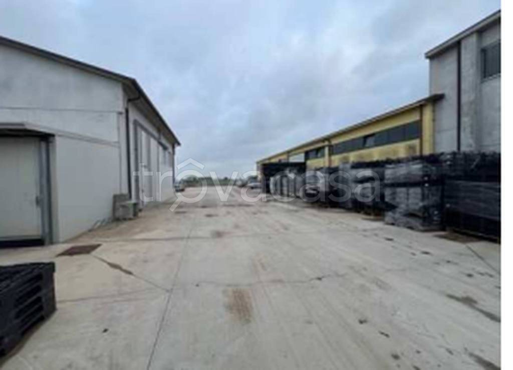 immagine annuncio 10 di 13