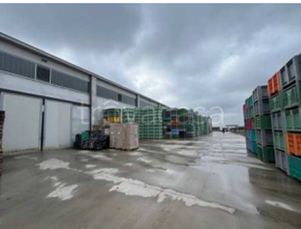 immagine annuncio 11 di 13