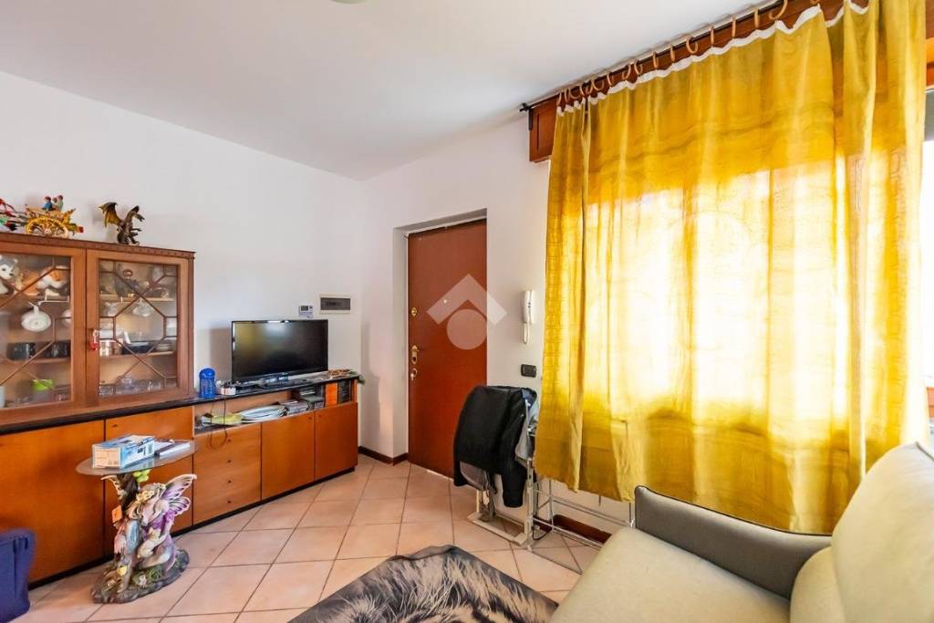 immagine annuncio 5 di 14