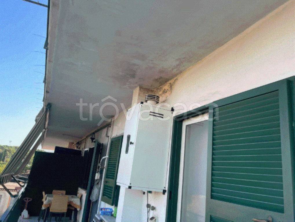 immagine annuncio 4 di 8