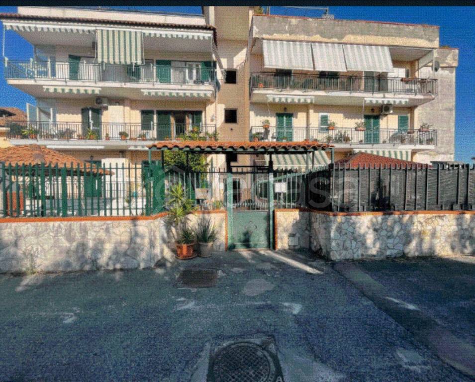 immagine annuncio 7 di 8