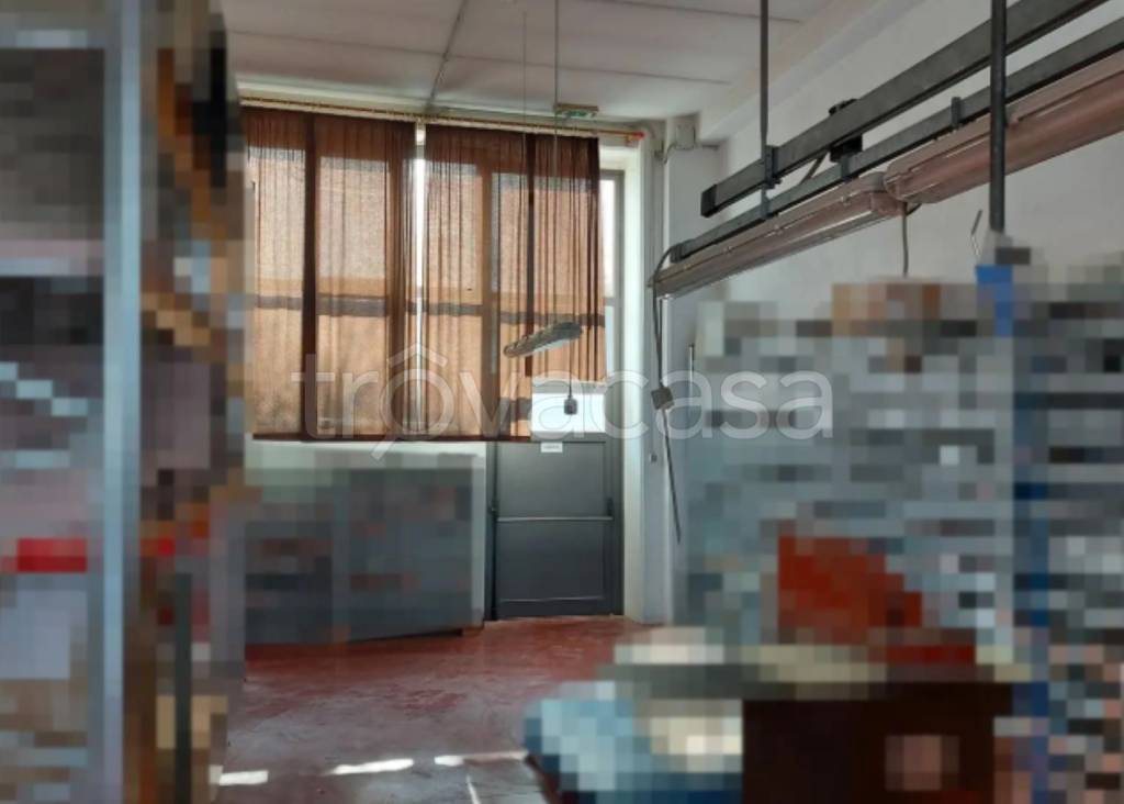 immagine annuncio 5 di 11