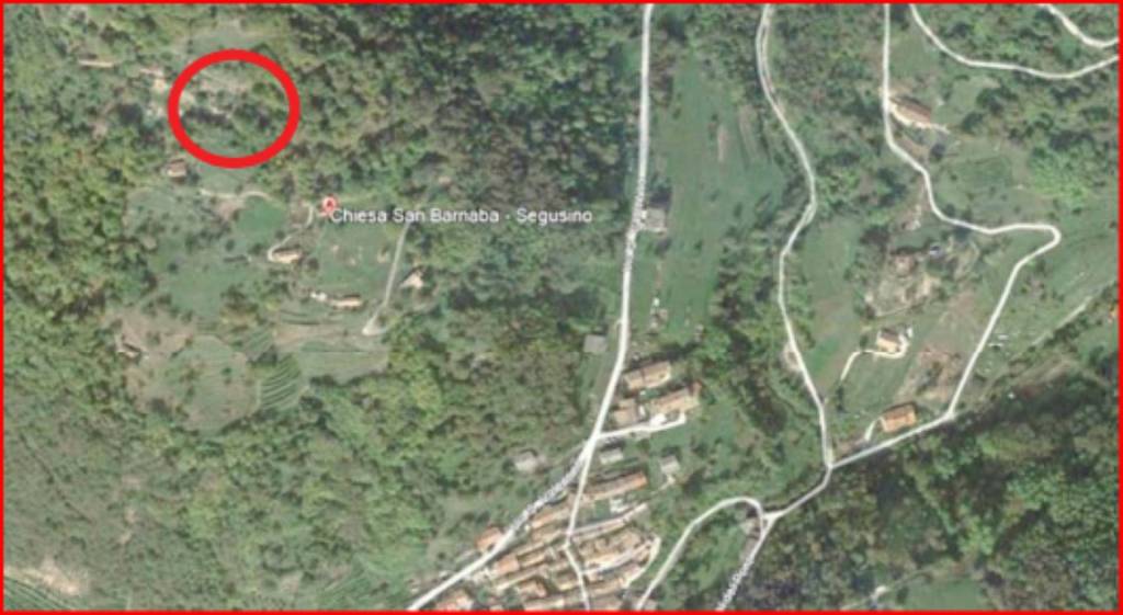 immagine annuncio 11 di 12