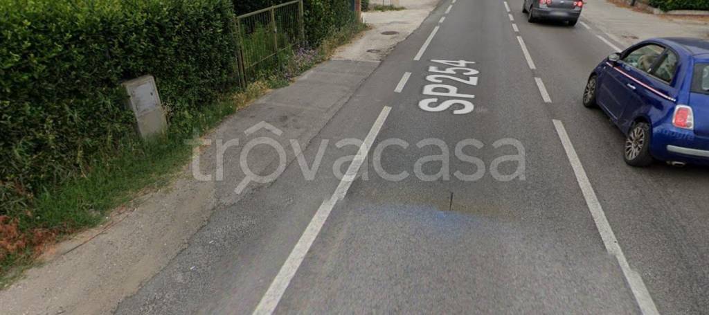 immagine annuncio 3 di 13