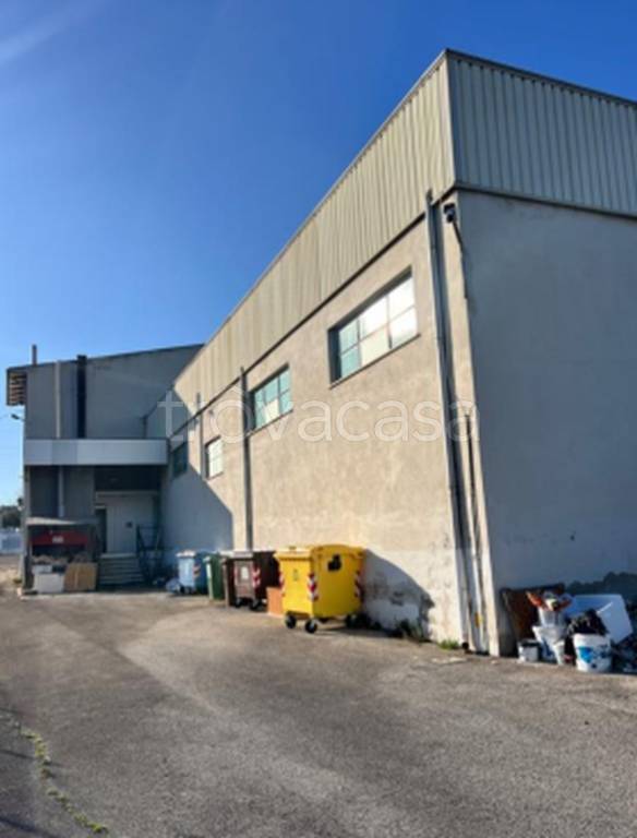 immagine annuncio 4 di 11