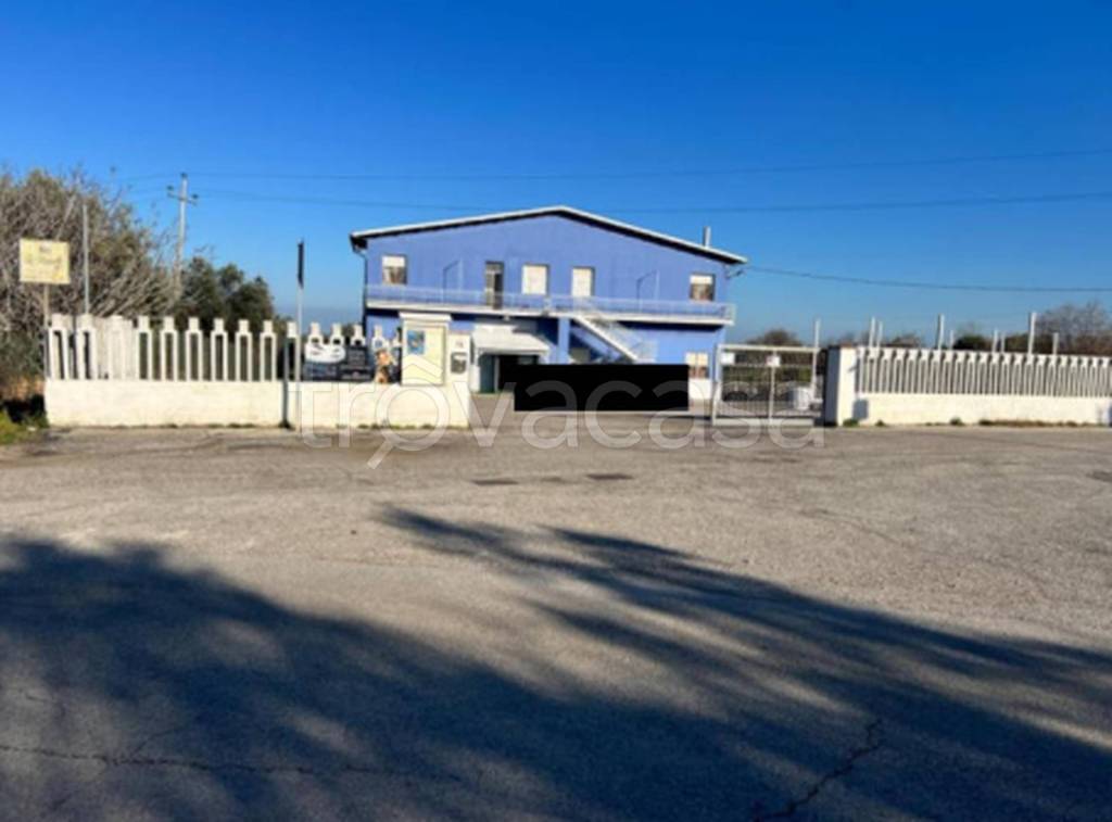 immagine annuncio 8 di 11