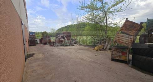 immagine annuncio 2 di 14