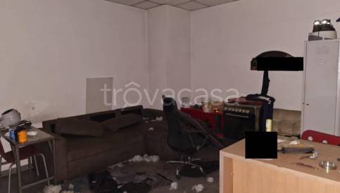 immagine annuncio 5 di 14