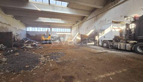 immagine annuncio 6 di 14