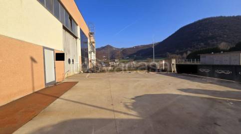 immagine annuncio 12 di 14