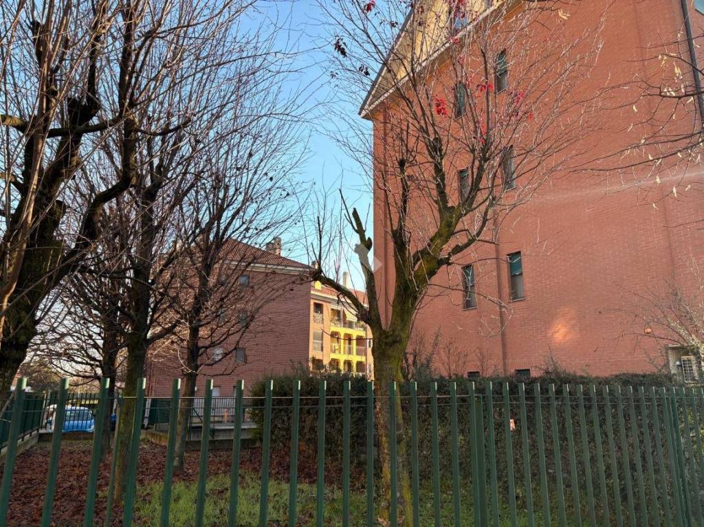 immagine annuncio 1 di 15