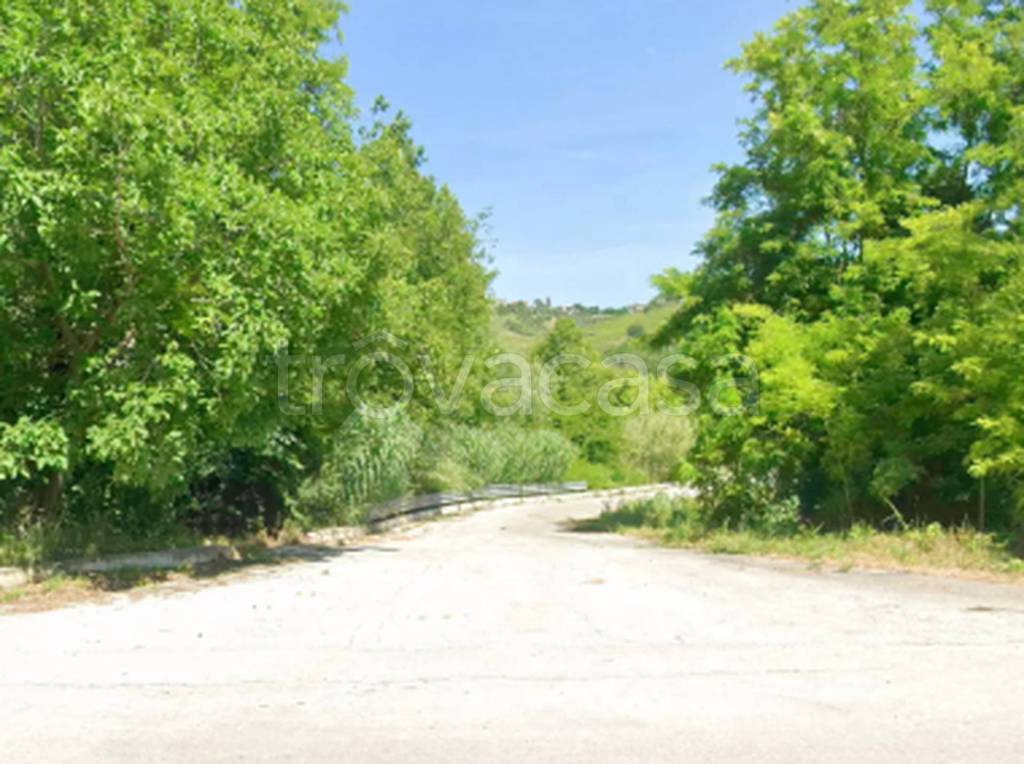 immagine annuncio 5 di 8