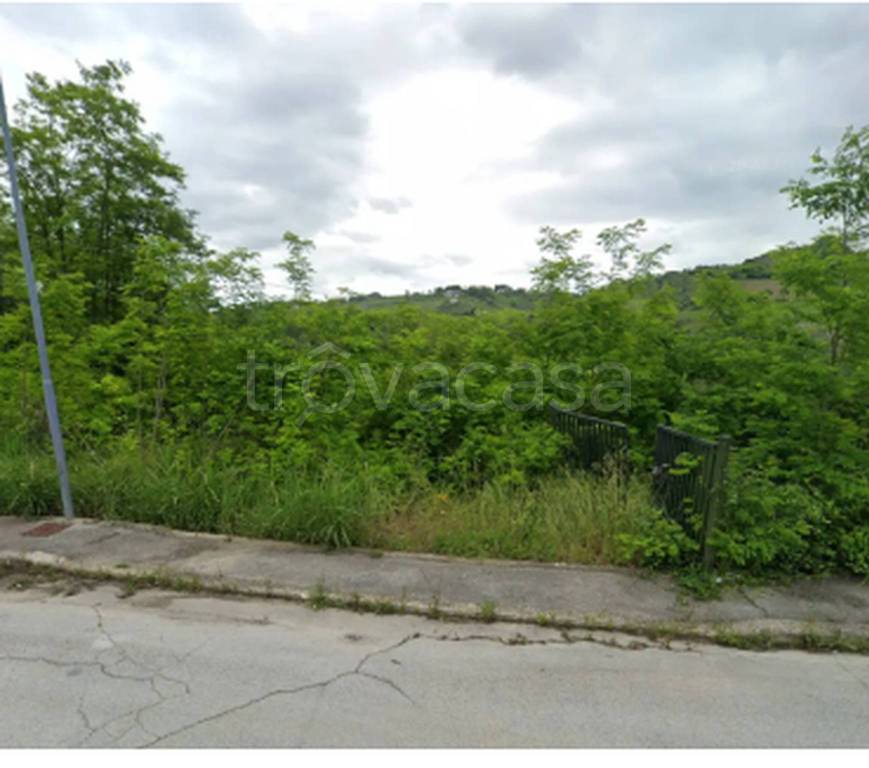 immagine annuncio 7 di 8