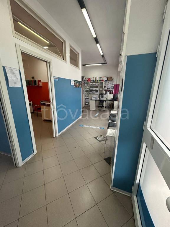 immagine annuncio 2 di 14