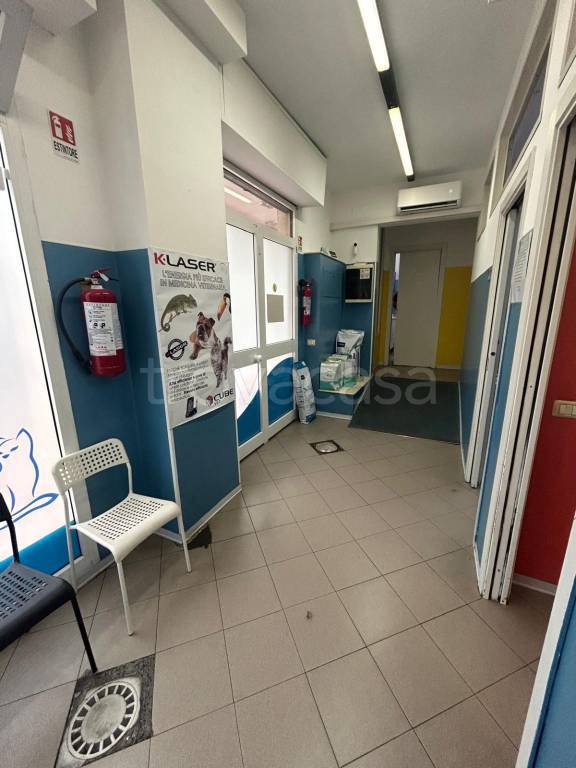 immagine annuncio 3 di 14