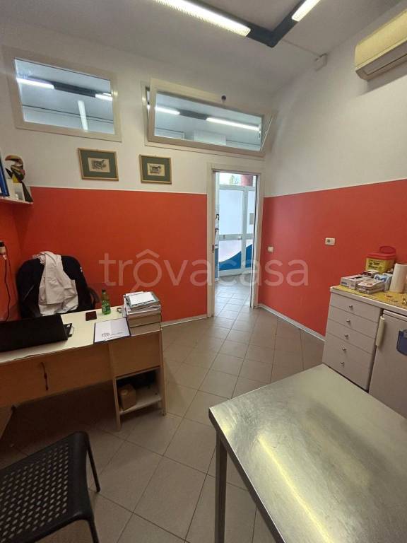 immagine annuncio 4 di 14