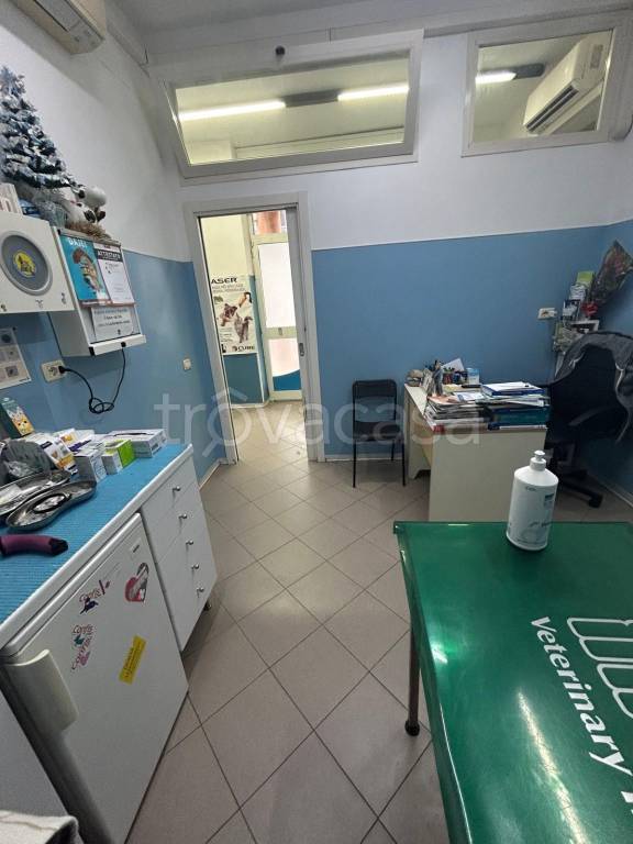 immagine annuncio 5 di 14