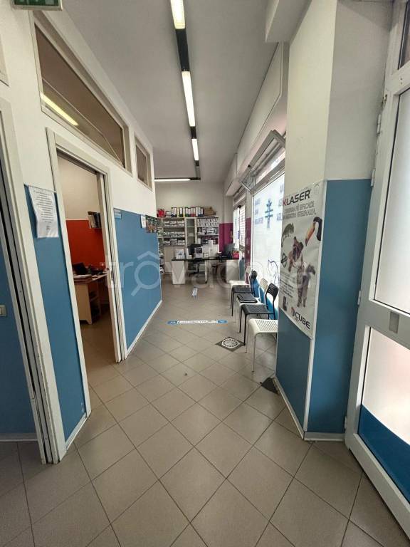 immagine annuncio 9 di 14