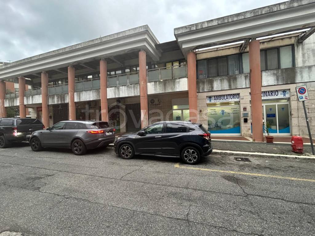 immagine annuncio 11 di 14