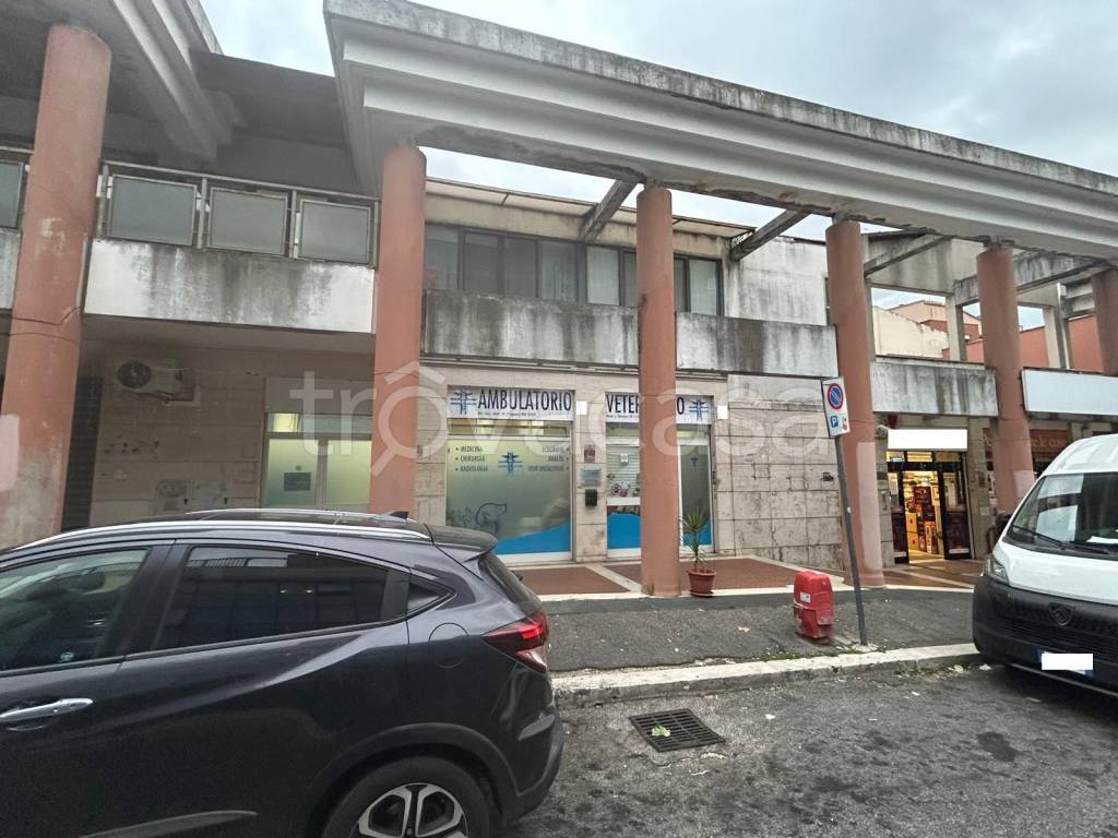 immagine annuncio 12 di 14