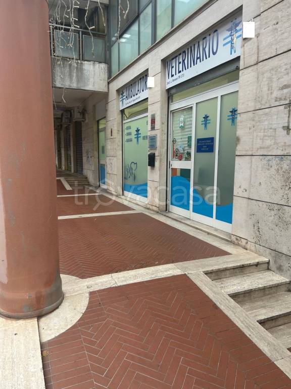 immagine annuncio 13 di 14