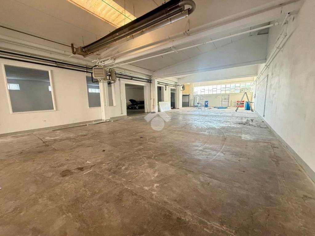 immagine annuncio 2 di 12