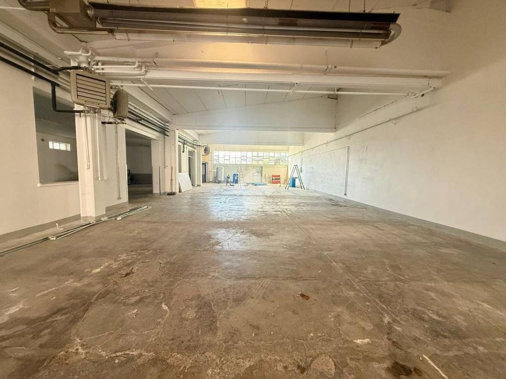 immagine annuncio 3 di 12