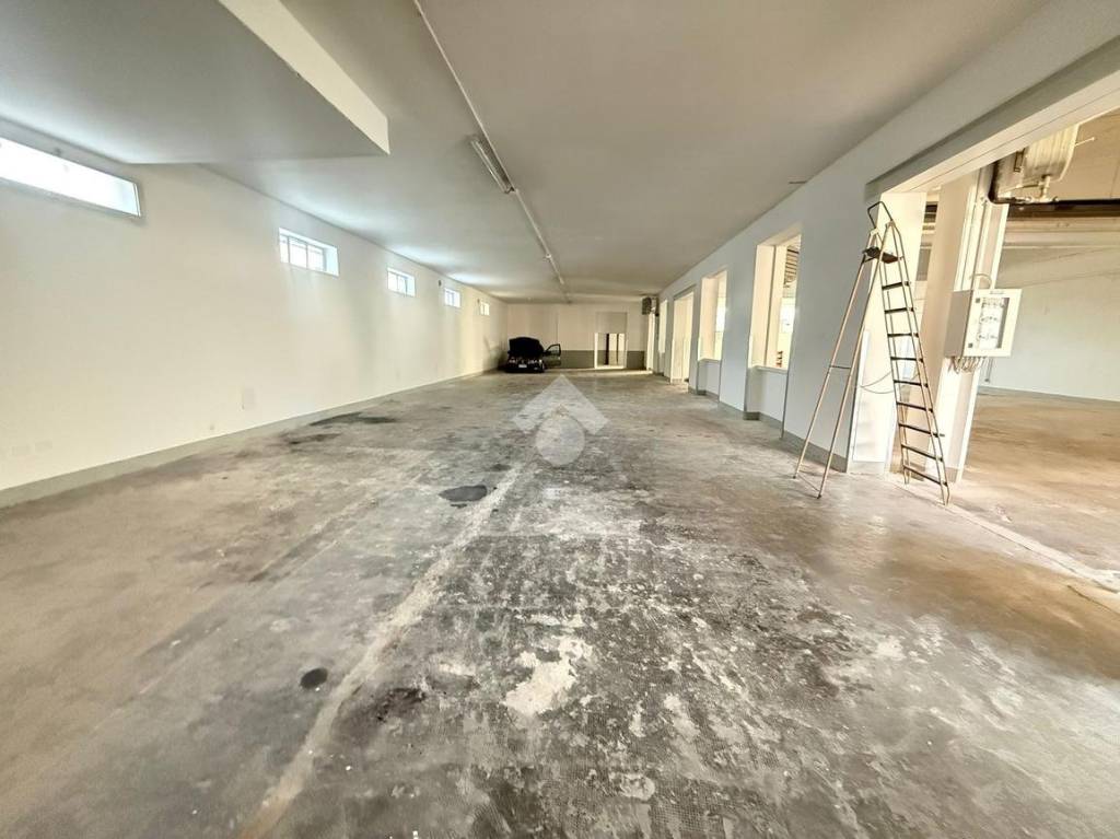 immagine annuncio 6 di 12