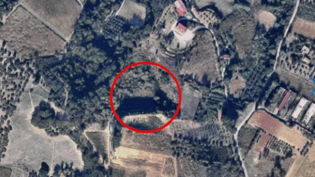 immagine annuncio 1 di 8