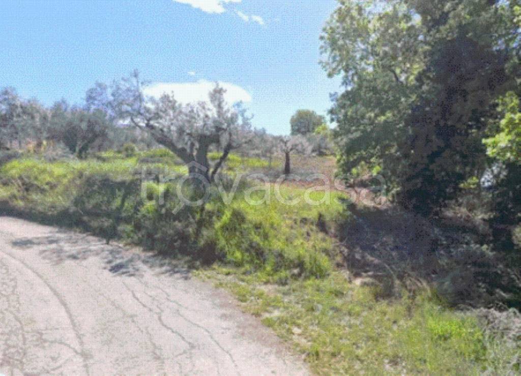 immagine annuncio 4 di 7