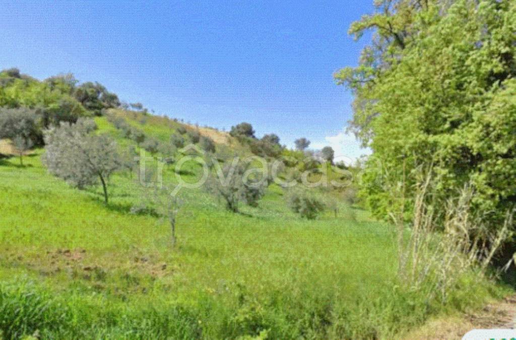 immagine annuncio 5 di 7