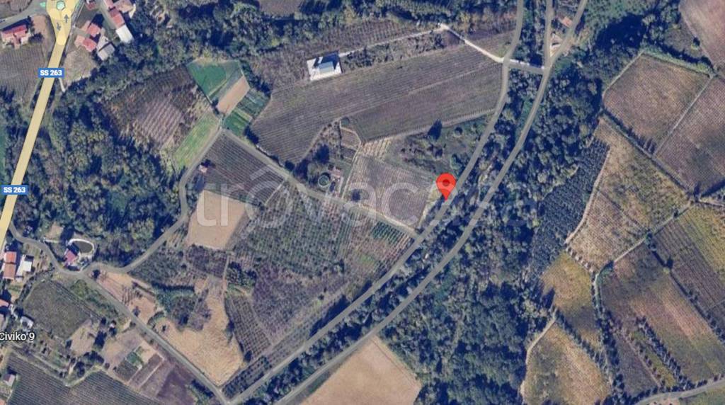 immagine annuncio 5 di 11