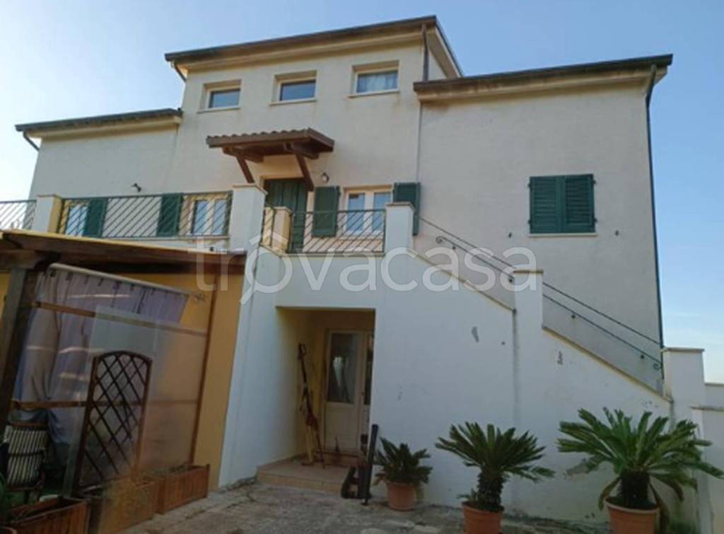 immagine annuncio 7 di 11