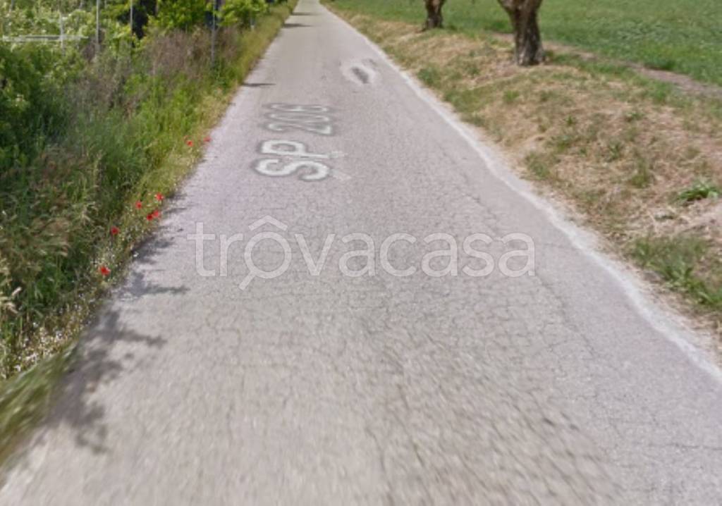 immagine annuncio 8 di 12