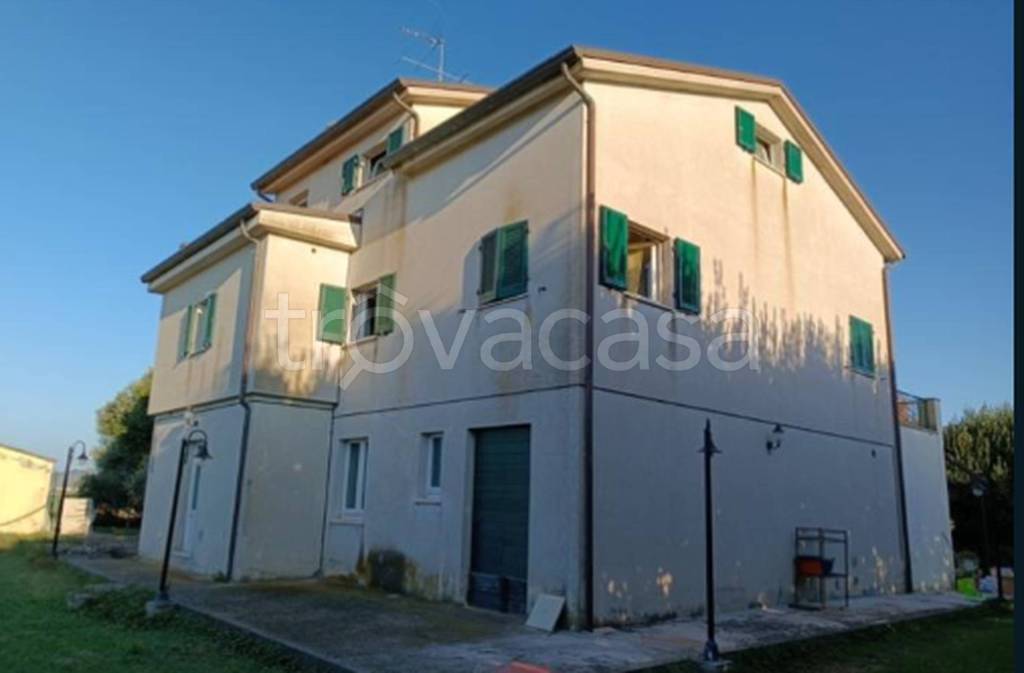 immagine annuncio 9 di 11