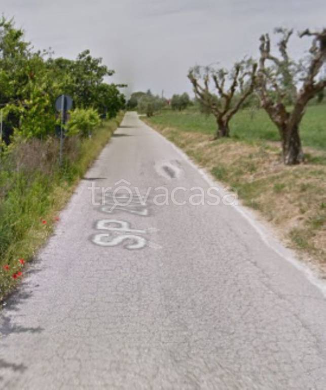 immagine annuncio 9 di 12