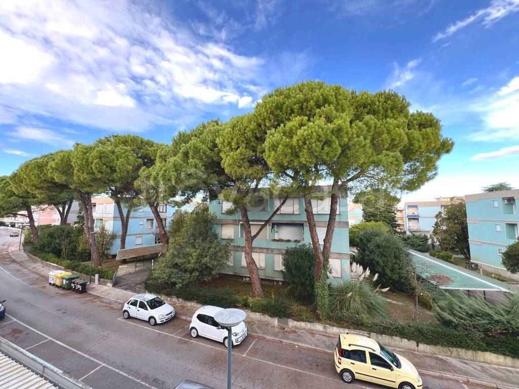 immagine annuncio 9 di 11