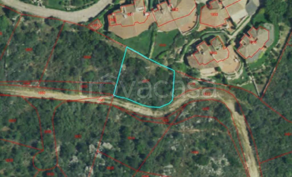 immagine annuncio 4 di 11