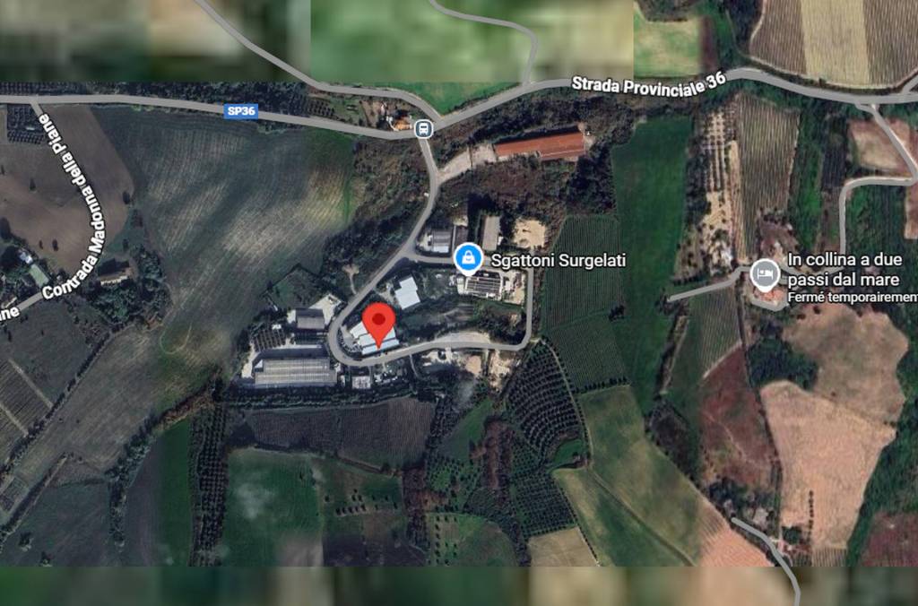 immagine annuncio 3 di 9