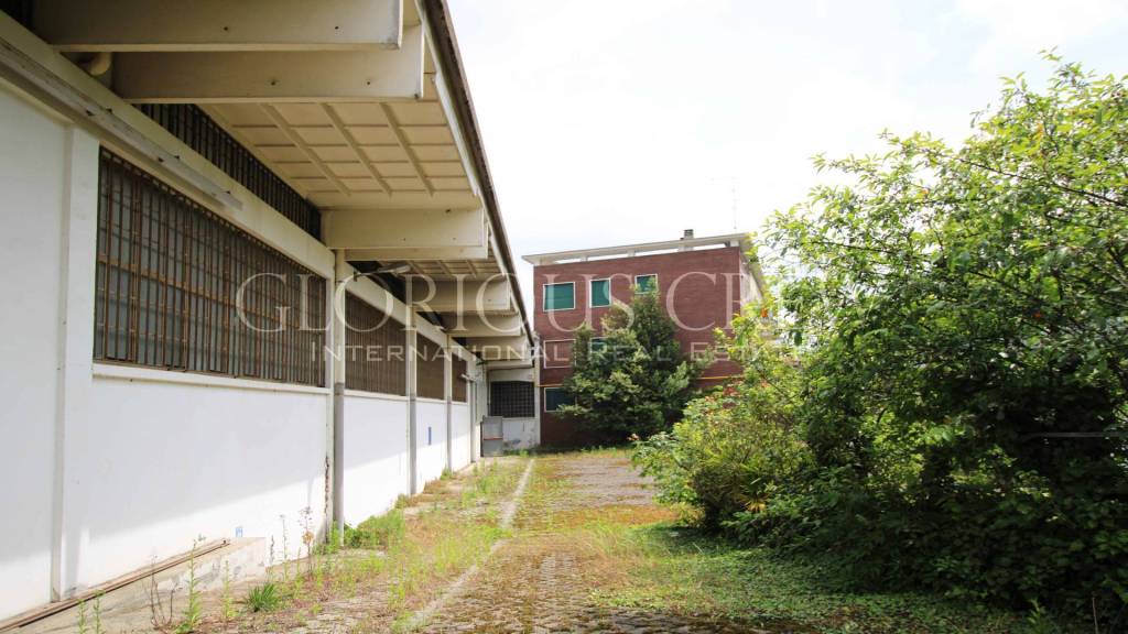 immagine annuncio 8 di 12