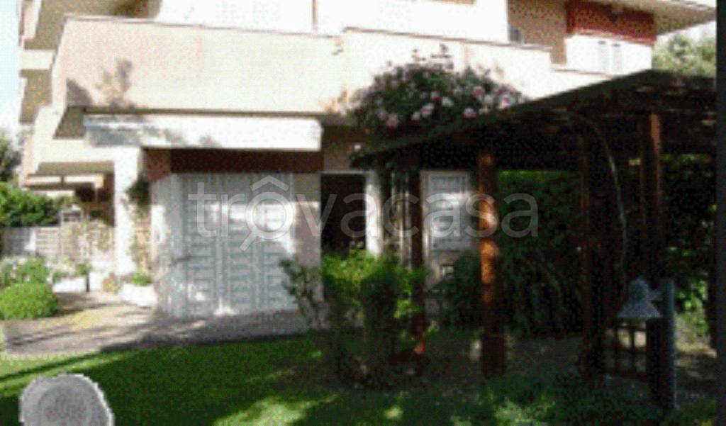 immagine annuncio 3 di 12