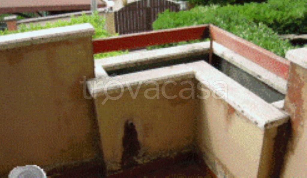 immagine annuncio 4 di 12