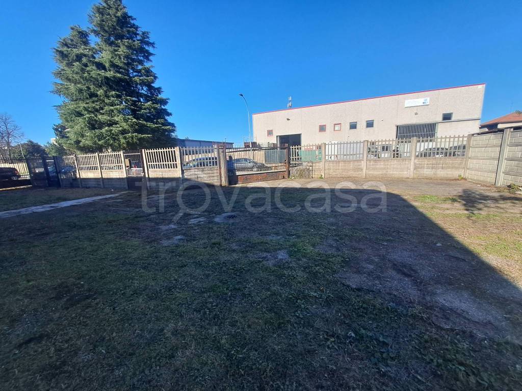 immagine annuncio 6 di 15