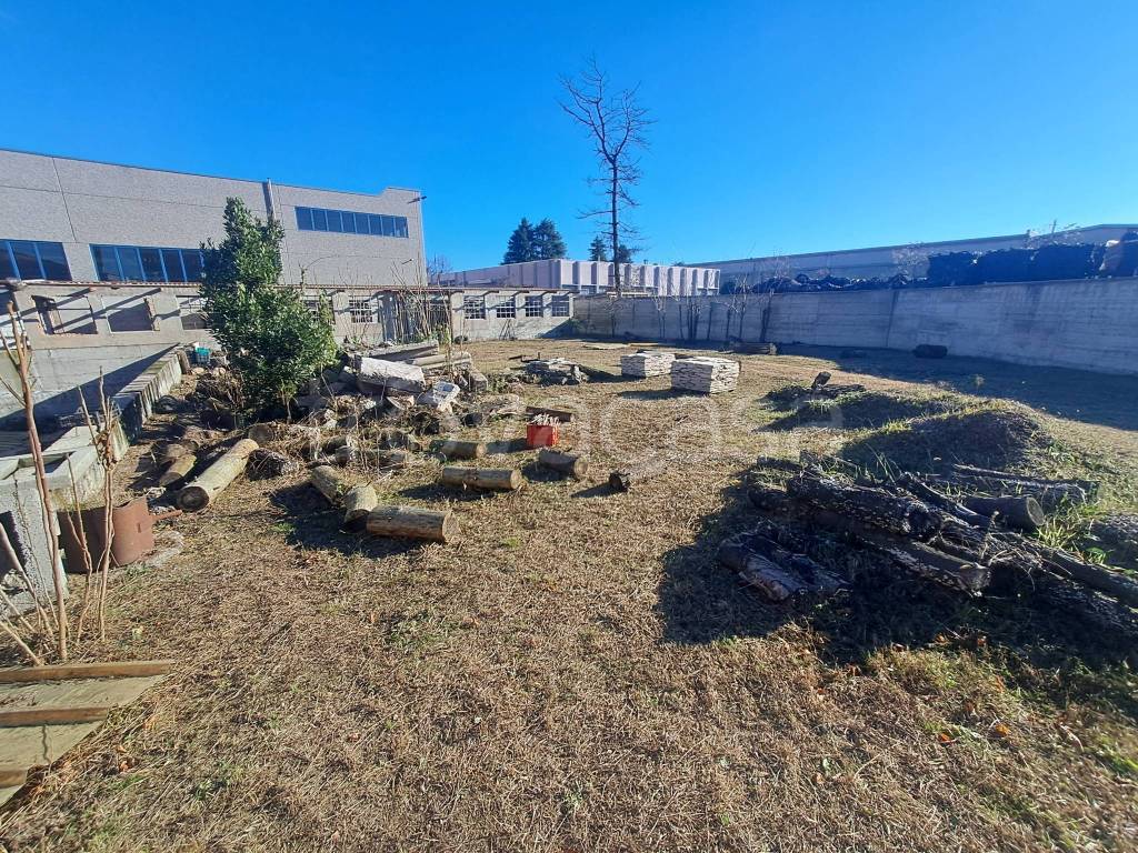 immagine annuncio 10 di 15